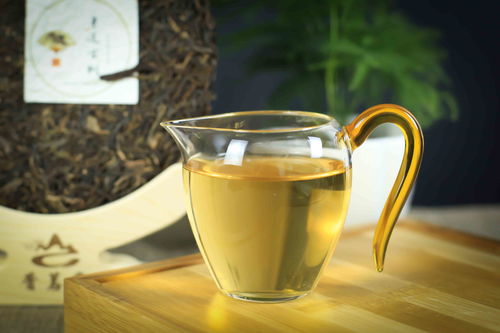 古云南茶業精品 傳承古法,薈萃云南大葉茶