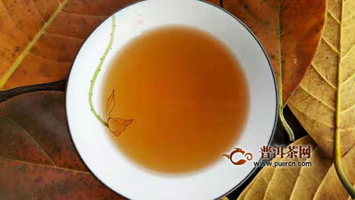 如初見易武柔情 2018年興海茶業易武生態喬木試用報告