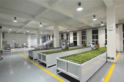 厲害了，我的茶！祥源茶業收獲好評不斷