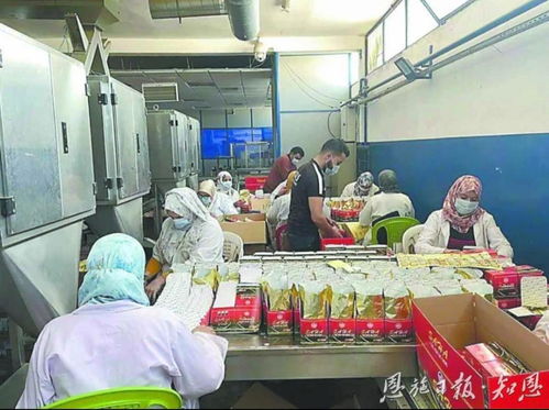 摩洛哥鶴峰茶錨定北非市場的背后 茶業戰略解析